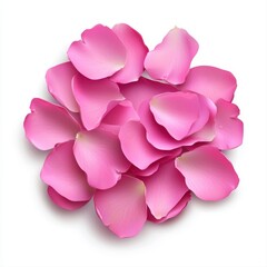 Obraz premium Pink Rose Petals on White Background