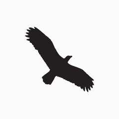 Flying eagle silhouette icon illustration.



