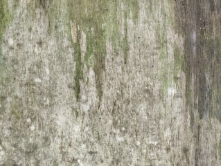 Abstrack old rustic weathered wood texture background 