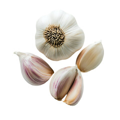 Garlic PNG cutout isolated on white and transparent background. garlic, garlic PNG, isolated garlic, transparent background garlic, cutout garlic, fresh garlic, whole garlic bulb, garlic cloves,