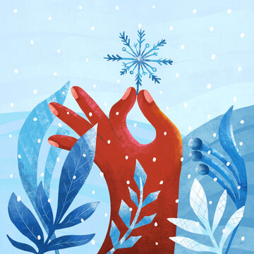Winter hand reaching for a snowflake among winter foliage