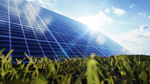 Solar panels in nature with green grass