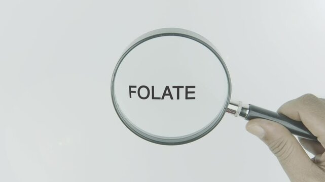 Folate text or word highlighted by a magnifying glass in a hand on a white background, symbolizing a vital nutrient, health, and dietary importance