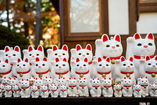 Lucky Cat in Tokyo temple, autumn in Japan