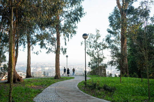 Scenic Park View with Walking Path and Cityscape