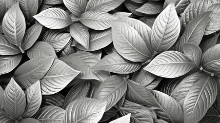 arranged silver leaf