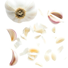 Obraz premium Garlic PNG cutout isolated on white and transparent background. 
