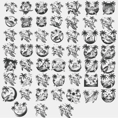 Adorable Turtle Svg, Animal Vector