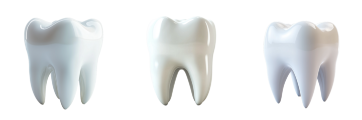 Three Dimensional Models of Human Teeth Showing Different Shades of White Enamel isolated on transparent Background