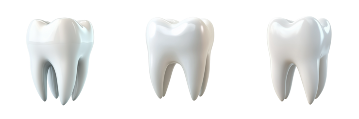 Three Dimensional Model of Human Teeth Showing Perfect Dental Health and Hygiene isolated on transparent Background
