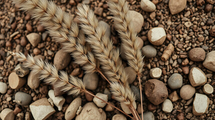 Obraz premium Natural Earth Elements