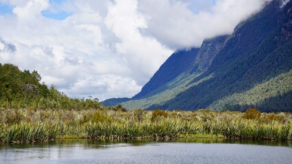 Milford Sound New Zealand landscape with pond in the foreground