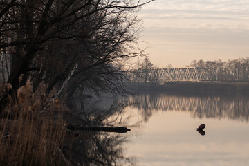 Most kolejowy nad wodą, w Goczałkowicach Zdrój wiosną. © Elżbieta Kaps