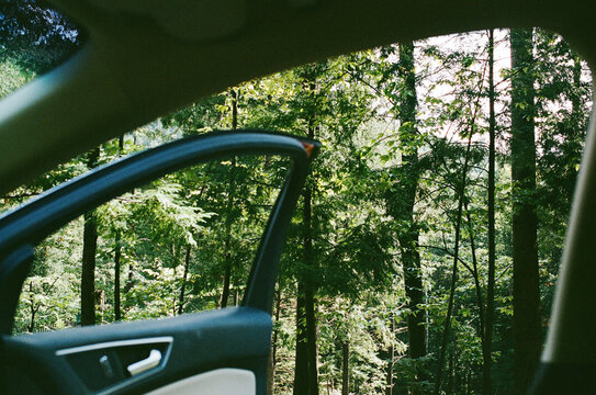 Let's Get Lost