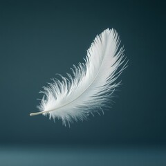 Obraz premium A white feather is floating in the air