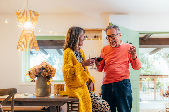 Cheerful multiethnic seniors enjoying wine and conversation at home