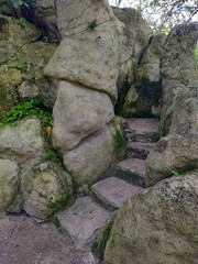 Stone staircase on mossy trail.