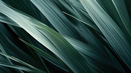 close vertical texture