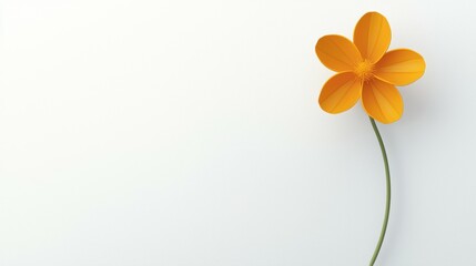 A charming buttercup flower with glossy yellow petals and a slender green stem, floating in an empty frame --chaos 20 --ar 16:9 --quality 2 --v 6.1 Job ID: b360bd9e-f8c4-4f0f-83fc-56768a0863e2