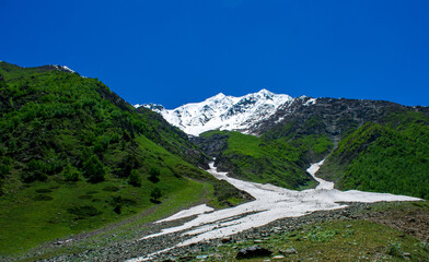 Majestic snow-covered peaks and lush green slopes in Dayitar Valley, Nagar, Gilgit, Pakistan,...