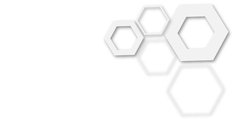 
Use for book, poster, flyer, website vector illustration.Abstract light grey and white hexagon 3d effect pattern with shadow seamless texture background.
