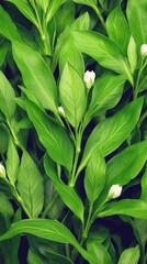 Obraz premium green leaves in the garden