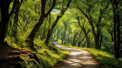 Naklejka premium neutral green travel