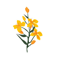 Fototapeta premium Vibrant Yellow Celandine and Canola Flowers in Bloom, Beautiful Spring Meadow Scene