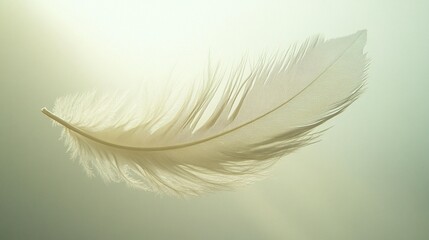 Fototapeta premium Floating Feather, Light and Airy