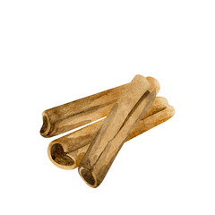 Watercolor cinnamon illustration isolated on a white background.