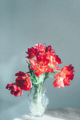 赤い八重咲きのチューリップ