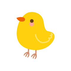 Cute chick isolated on white background.
