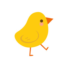 Cute chick isolated on white background.