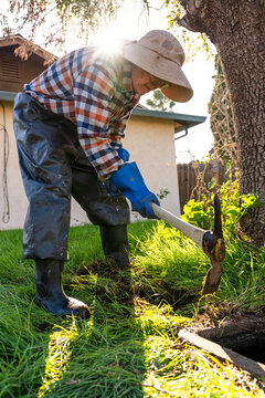 portrait yard work 