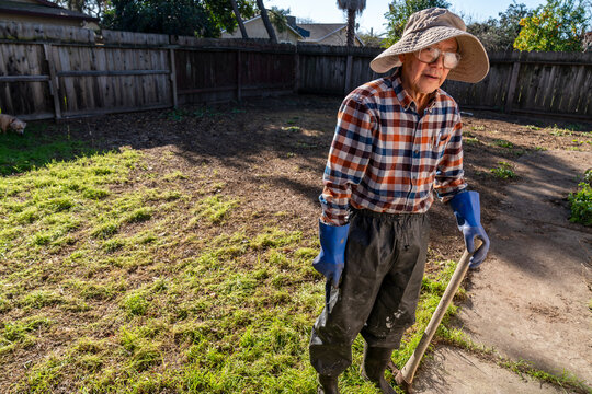 portrait gardener