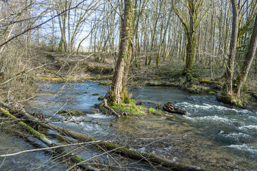rivière sauvage , la Versoix en hiver