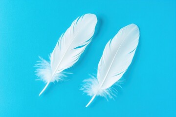 Fototapeta premium Two white feathers on blue background.