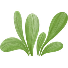 Leaf green colors clipart illustration spring
