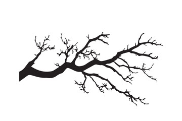 Silhouette of bare tree branch, bough without leaves, fall branch vector icon illustration on white background.