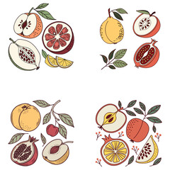 Orange fruit print. Fresh apple fruit print. Pomegranate fruit artwork. Nature lemon design vector
