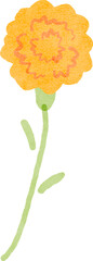 Hand drawn yellow carnation flower