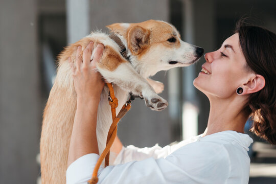 Joyful Reunion Between a Woman and Her Corgi