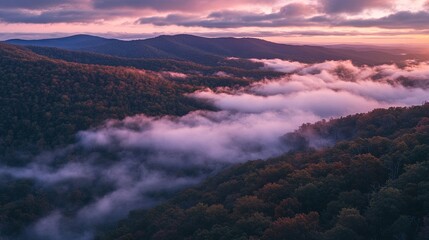 Fototapeta premium A dense fog rolling over a quiet mountain forest during sunrise digital
