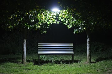 Night scene: Empty park bench illuminated under a tree at night. Perfect for themes of solitude, peace, or nighttime contemplation.