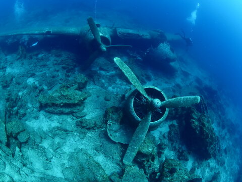 divers explpring c47 dakota air plane wreck underwater 
