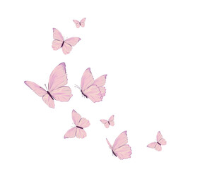 butterflies and flowers	