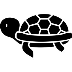 Obraz premium Turtle Icon