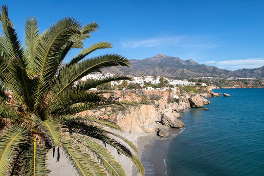 Palm tree, sea and sky landscape in Nerja Spain