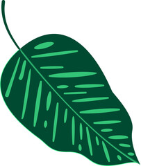 Tropical Leaf