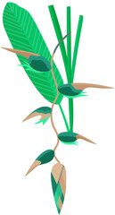 Obraz premium Tropical Leaf